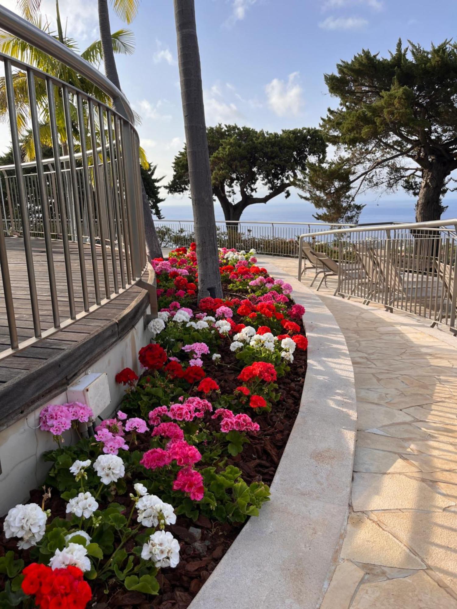 فندق Quinta Funchal Gardens - Adults Only المظهر الخارجي الصورة